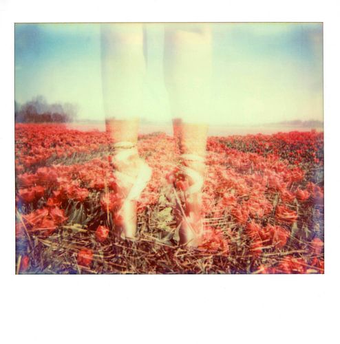 Ballet in tulip field