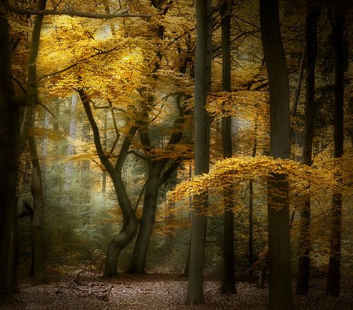 Life Is What You Make It