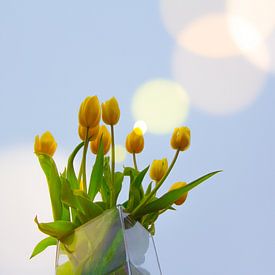 Gelbe Tulpen von Eline Verhaeghe