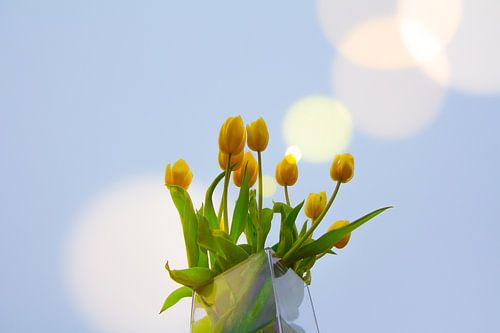 Gele tulpen van Eline Verhaeghe