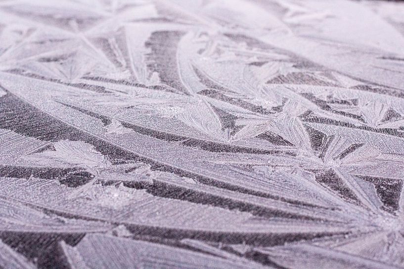Ice Crystals by Sabine Bouwmeester