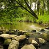 Kampina's "De Beerze" ruisseau sur Gerhard Niezen Photography