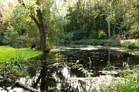 Kralingse Bos
