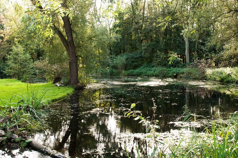Kralingse Bos van Anuska Klaverdijk