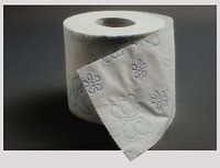 Toilet paper