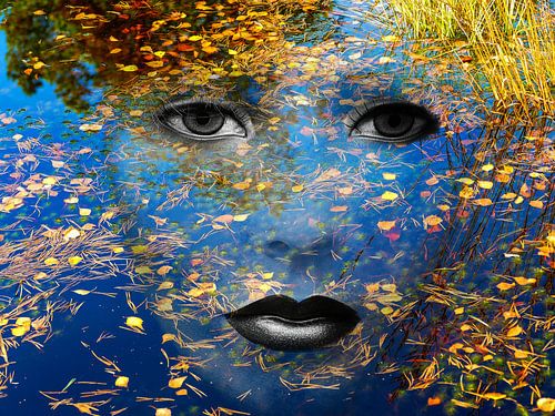 The face and the moor by Gabi Hampe