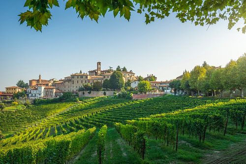 Neive dorp en Langhe wijngaarden, Piemonte, Italië