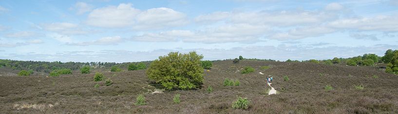 Un panorama du Veluwezoom par Gerard de Zwaan