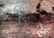 Texel in autumn by Mad Dog Art thumbnail