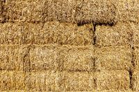 Hay bale wall