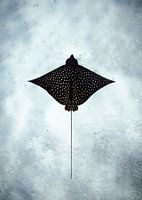 Flying Eagle Ray