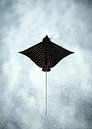 Flying Eagle Ray by DesignedByJoost thumbnail