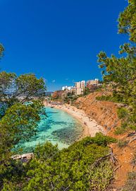 Idyllic view of sand beach Platja de l'Oratori on Mallorca island by Alex Winter