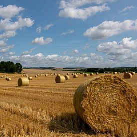 French landscape with rolls of dried straw. by Robin Verhoef