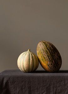 Porträt von zwei Melonen