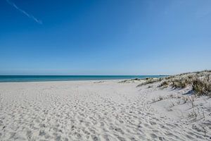 Ostseestrand und Dünen in Prerow