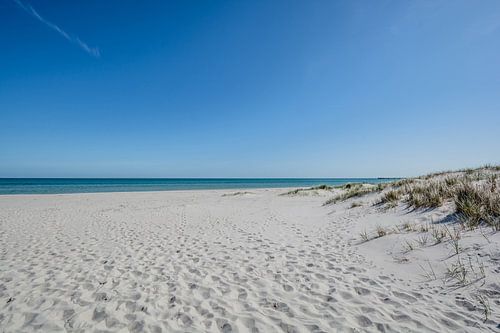 Oostzeestrand en duinen in Prerow
