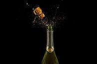 Bottle of bubbly champagne by Corrine Ponsen thumbnail