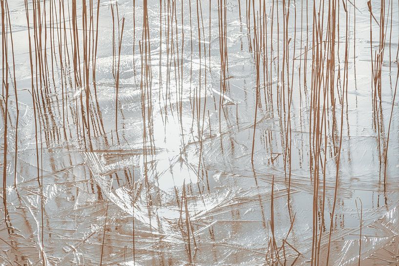 Nature art by Ursula Reins