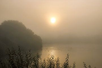 Zonsopgang door de mist / gouden uurtje/ Natuurfotografie van Anke Sol