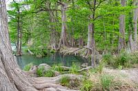 Parc d'État de Garner