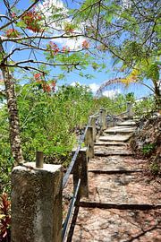 The last steps up by Frank's Awesome Travels