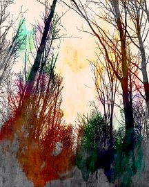 Sunrise in the Autumn Forest by Mad Dog Art