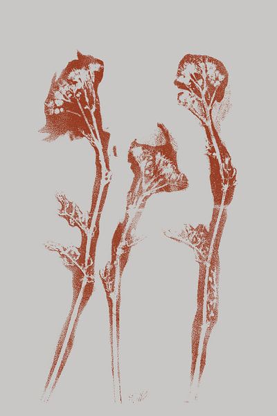 Modern Botanical art. Wild flowers in terracotta no. 3 by Dina Dankers