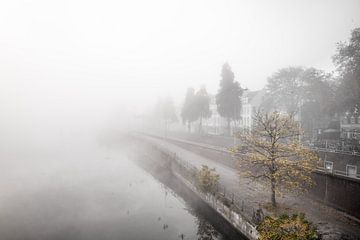 La Meuse brumeuse