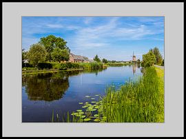Hollands Glorie van René Roos