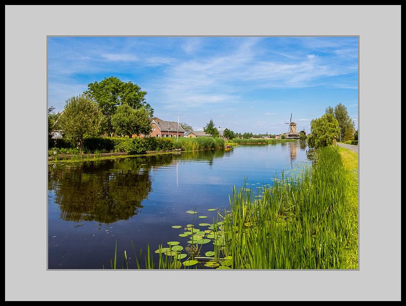 Hollands Glorie van René Roos