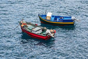 Fishing boats in Camara de Lobos on the island Madeira, Portugal sur Rico Ködder