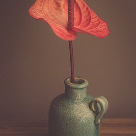 Vase mit Blume von Raoul van Meel