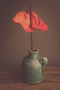 Vase mit Blume von Raoul van Meel