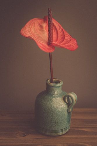 Vase mit Blume