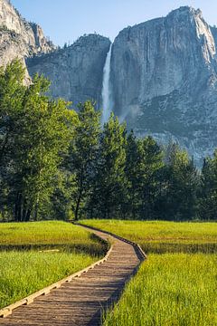 Pathway To The Falls by Joseph S Giacalone Photography