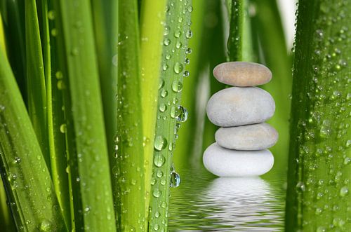 Wellness, Spa von Violetta Honkisz