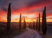 Tuscany sunset, Rostovskiy Anton by 1x thumbnail