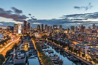 Der Panoramablick von Rotterdam von MS Fotografie | Marc van der Stelt Miniaturansicht