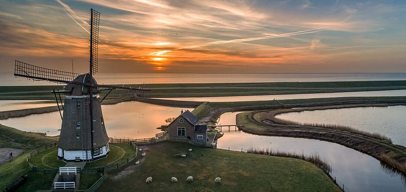 Windmühle Het Noorden Texel Sonnenaufgang von Texel360Fotografie Richard Heerschap