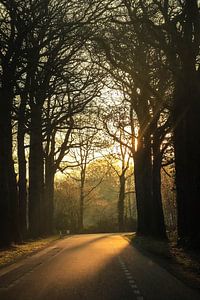 Zonsopkomst bij Markelo sur Wybrich Warns