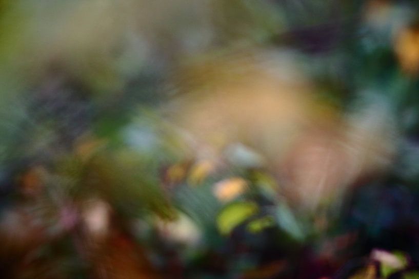 autumn colours by Severin Frank Fotografie