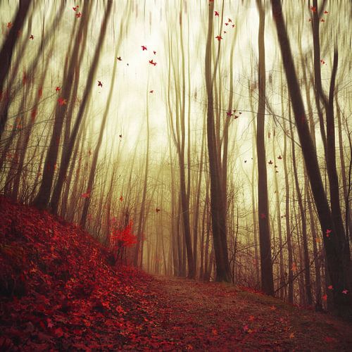 Herbststimmung