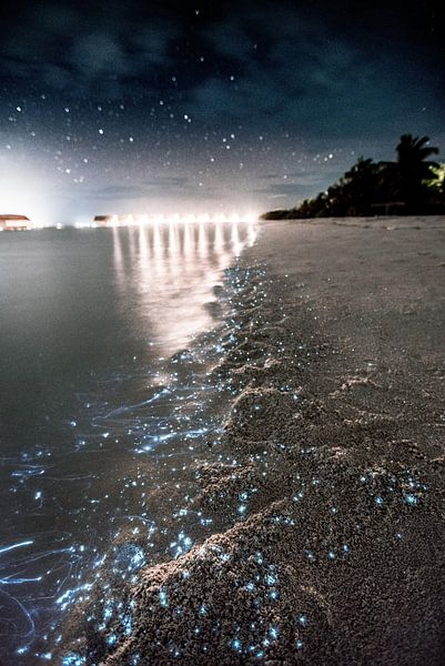 Maldives by Hello Pompoyo