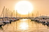 Coucher de soleil à la marina par Rene Siebring Aperçu