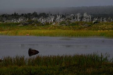 GROS MORNE 1 by Miroslav Ptacek