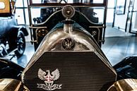 Bianchi grille en radiator ornament van autofotografie nederland thumbnail