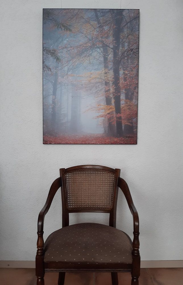 Ruhe und Frieden im Herbstwald | De Peel  von Jeroen Segers 