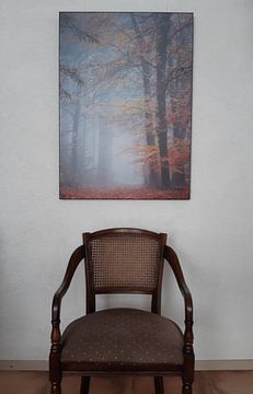 Kundenfoto: Ruhe und Frieden im Herbstwald | De Peel von Jeroen Segers