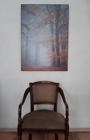 Stilte en rust in het herfstbos | De Peel